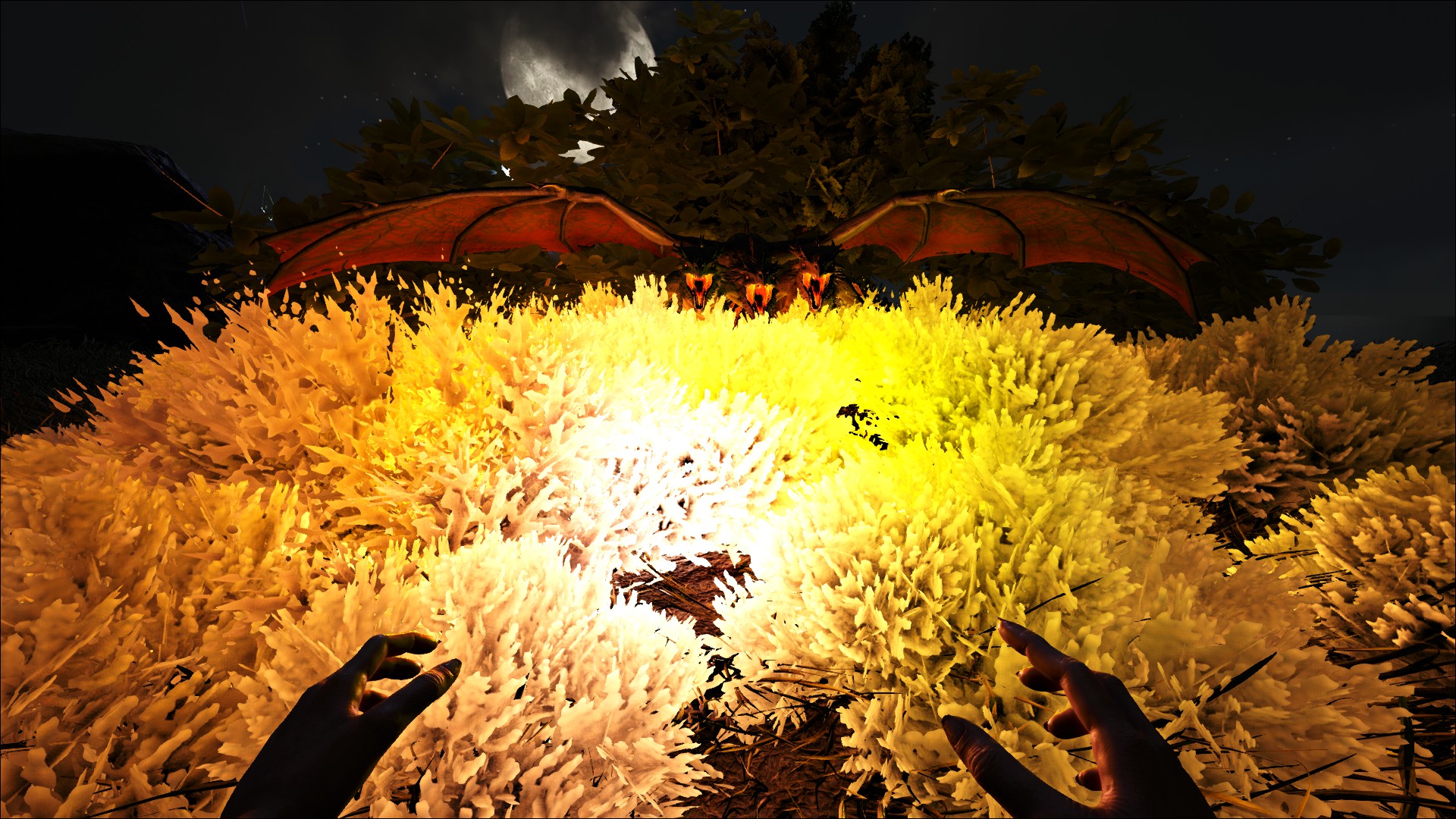 346110_screenshots_20190506180702_1.jpg