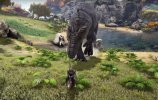 ark.jpg